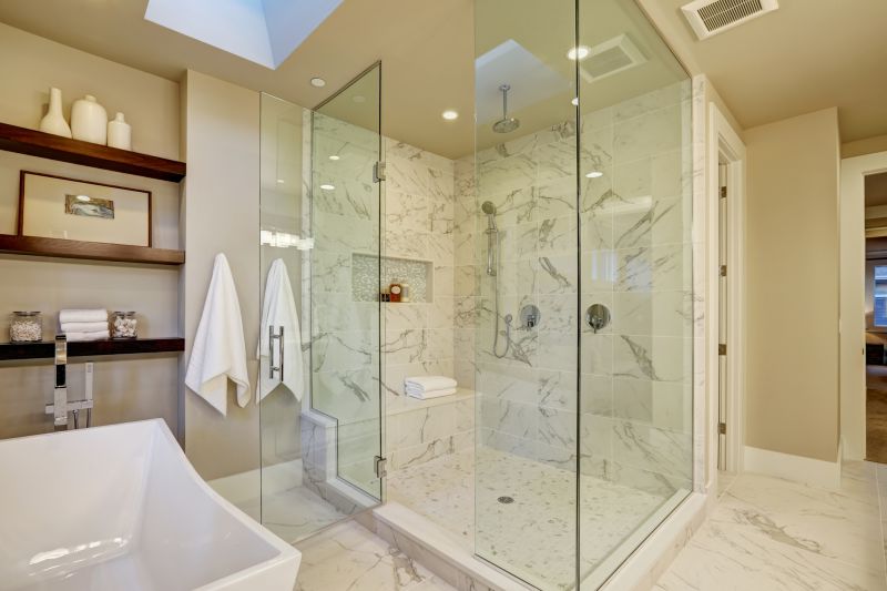 Elegant Shower Niche Designs